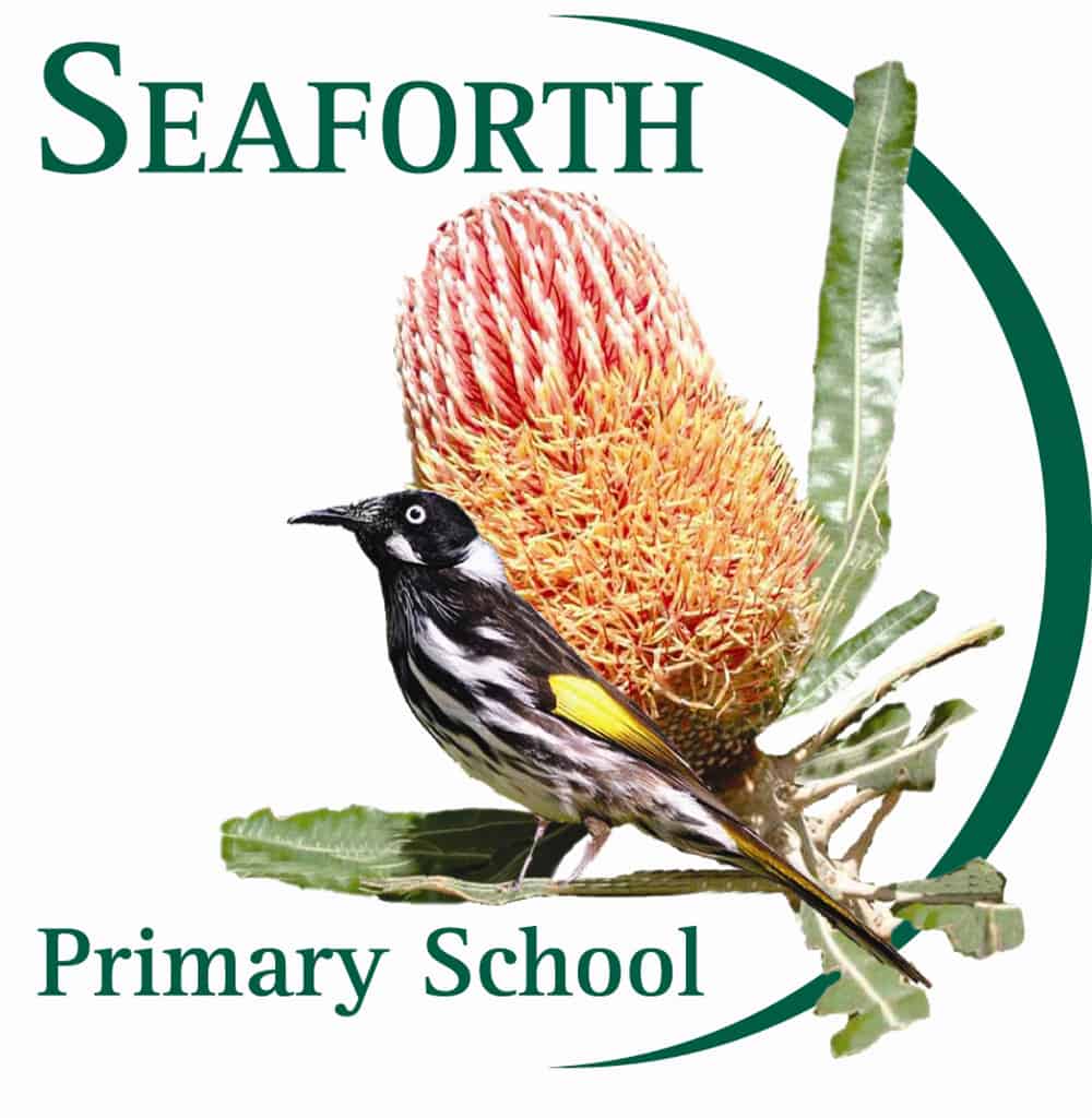 Usable gardens by kindy and pre primary children - Seaforth Primary School