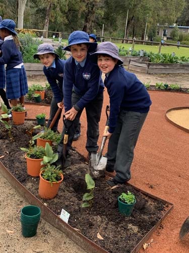 Native Garden Around A Talking Circle - Carmel Adventist College Primary