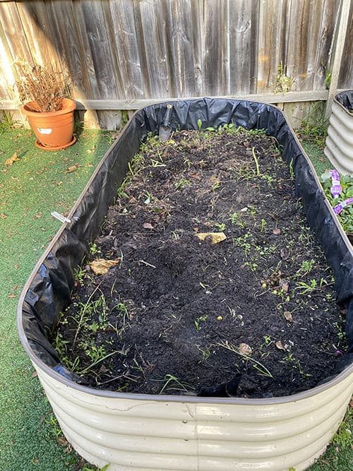 Vegetable Garden - CASS Gumnut Early Learning Centre Hurstville