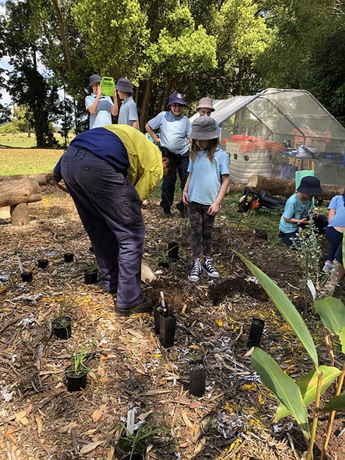 Connecting To Our Indigenous Food Sources - Goolmangar Public School