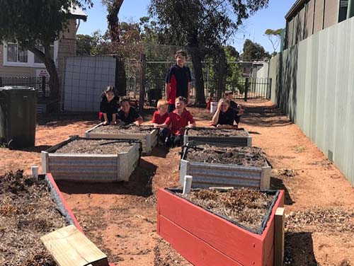 Garden improvement and upgrade - Berri Primary School